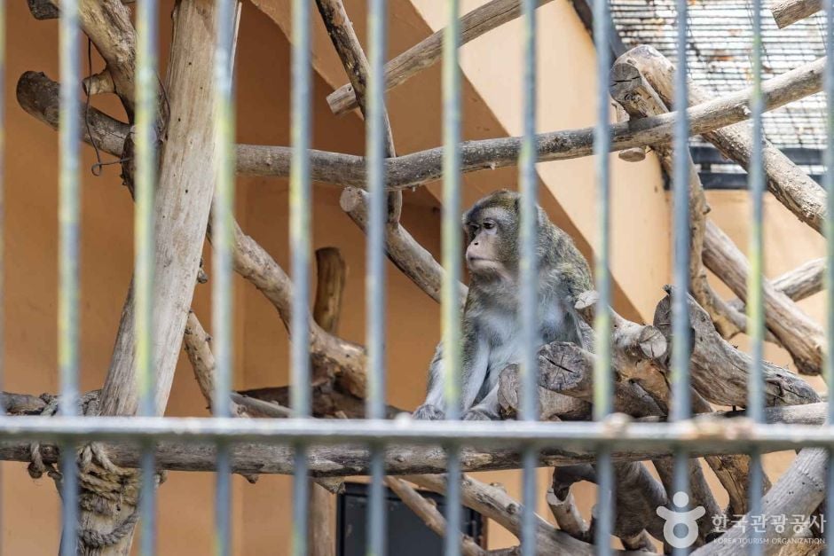 청주 동물원 이미지 2