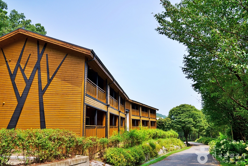 청주 상당산성 자연휴양림 이미지 4