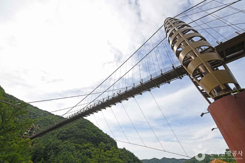 증평 좌구산 명상구름다리 이미지 3