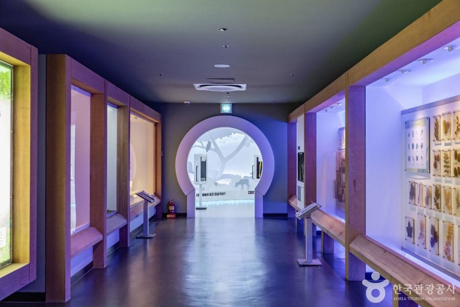 청주 미동산수목원 이미지 10