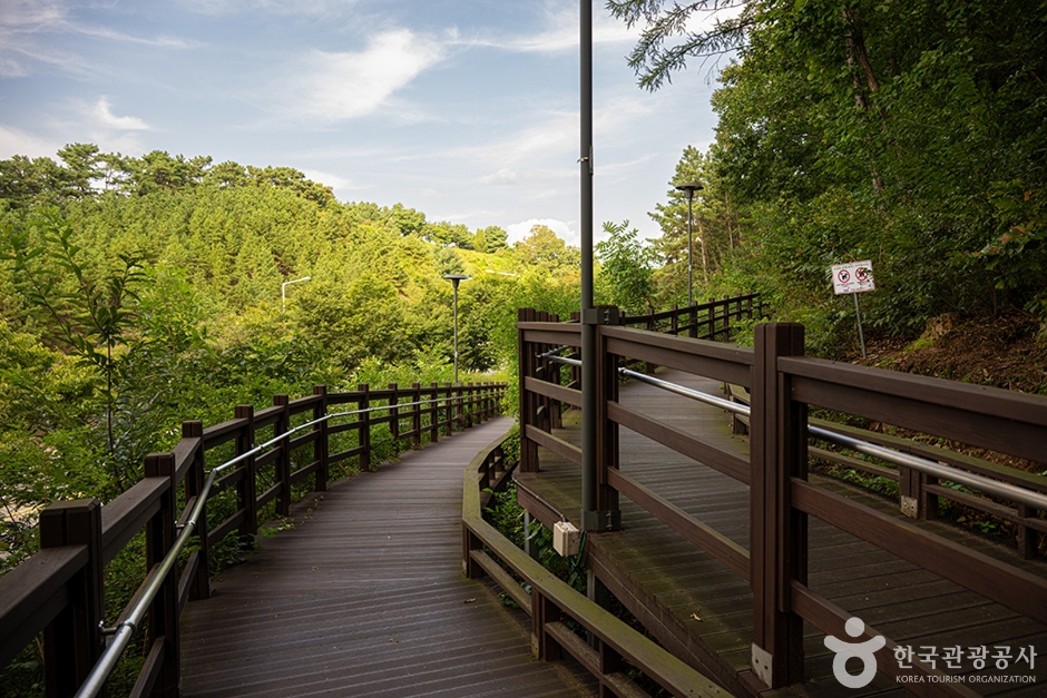 파주 헤이리무장애노을숲길 이미지 6
