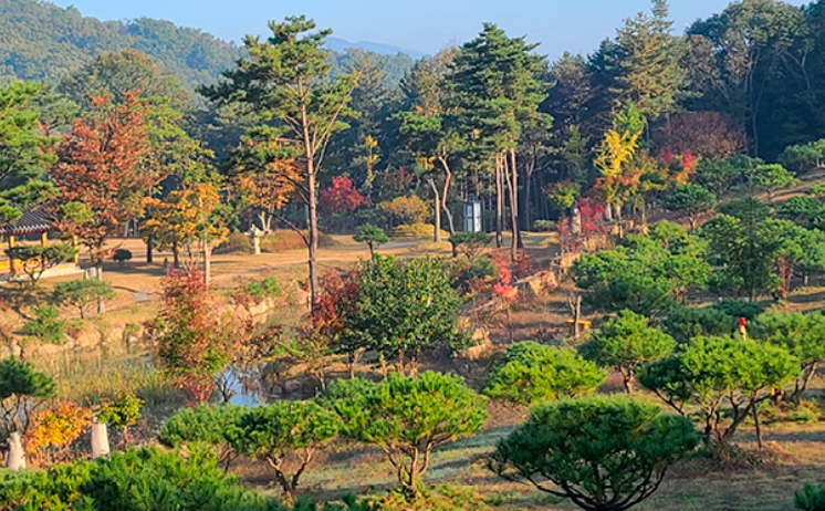 포천 나남수목원_추천 이미지 9
