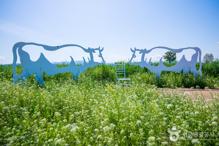 안성 팜랜드 이미지 7