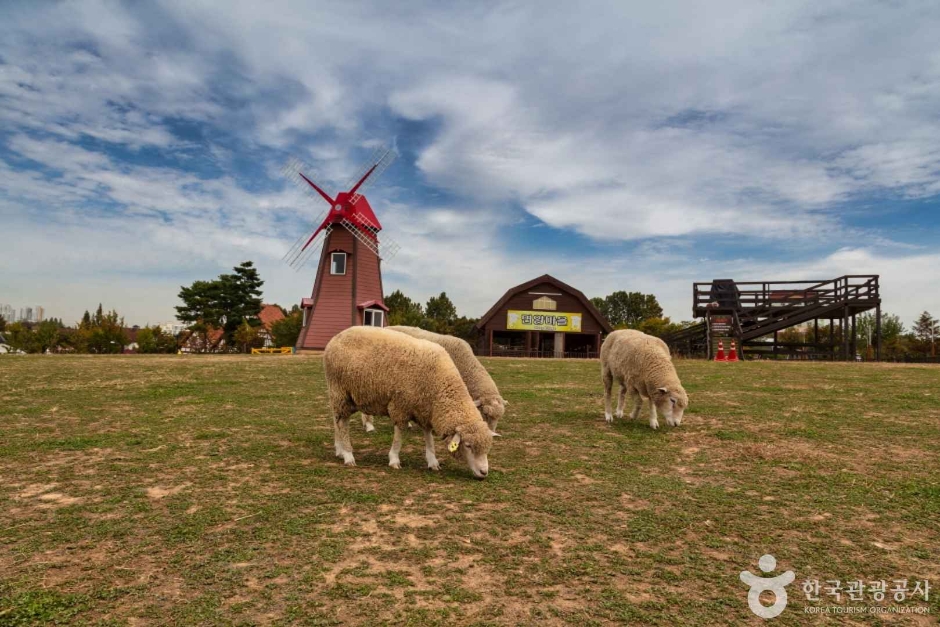 안성 팜랜드 이미지 4