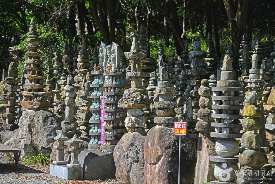 강진 옴천사 이미지 3