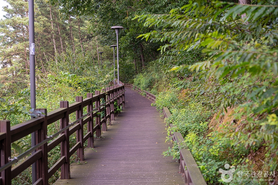 파주 헤이리무장애노을숲길 이미지 2