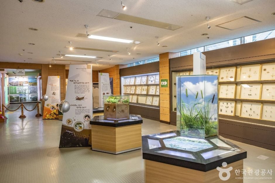 청주 미동산수목원 이미지 9