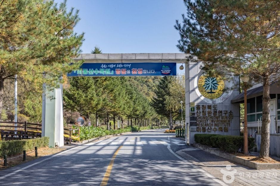 청주 미동산수목원 이미지 2