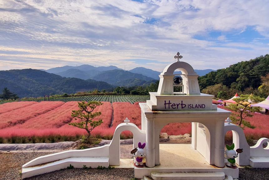 포천 허브아일랜드 이미지 6