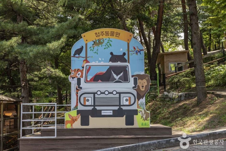 청주 동물원 이미지 6