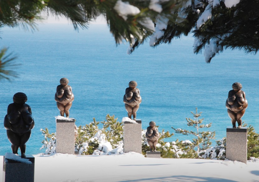 강릉 하슬라아트월드 이미지 7