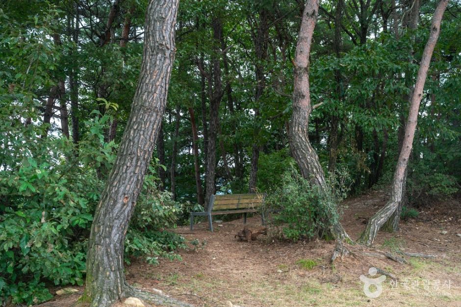 충주 장미산성 이미지 3