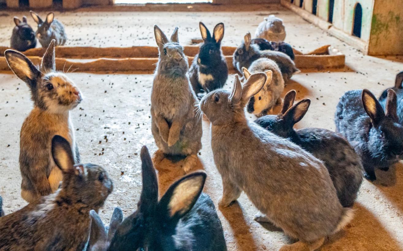 포천 서운동산 이미지 12