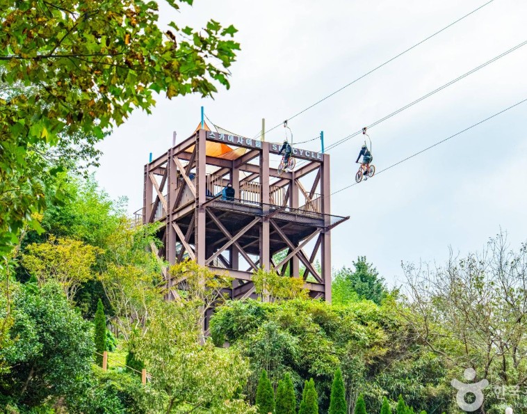 동해 도째비골스카이밸리 이미지 10