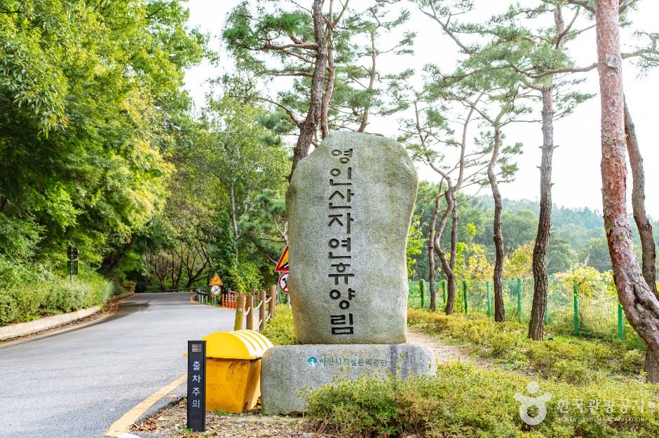 아산 영인산자연휴양림 이미지 1