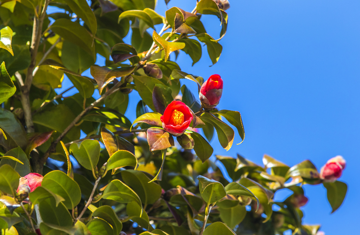 통영 용화사 이미지 8