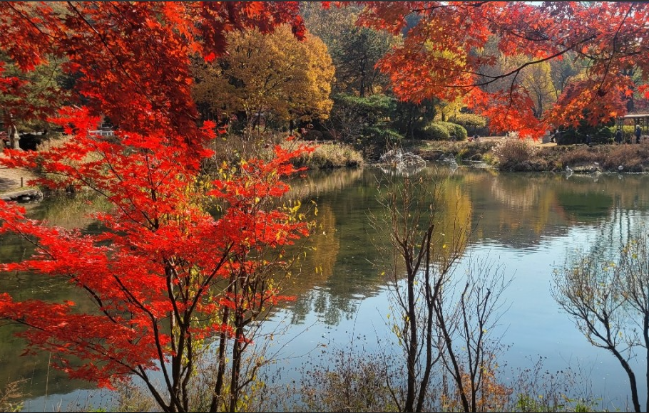 포천 서운동산 이미지 13