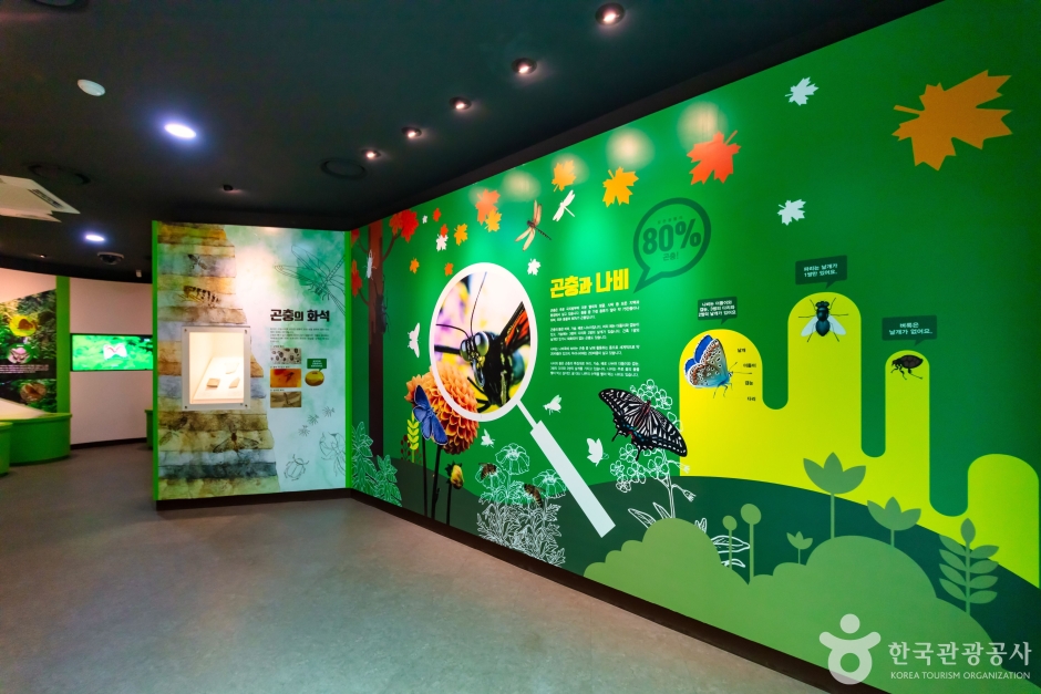 청주랜드 이미지 8