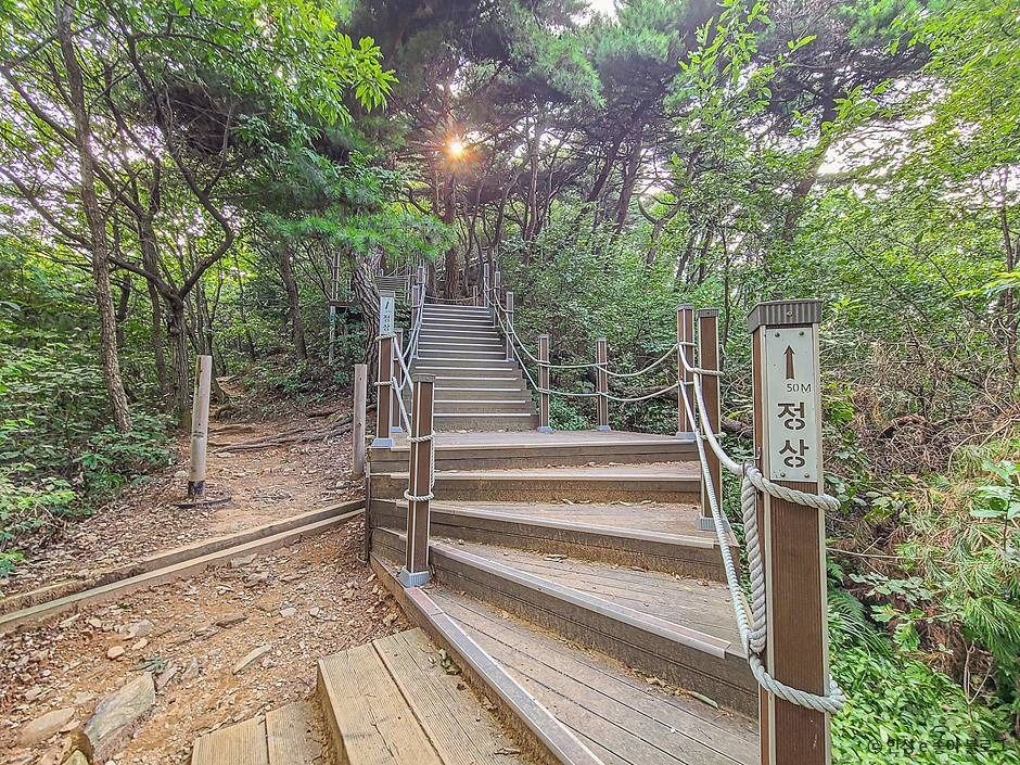 안성 고성산 이미지 3