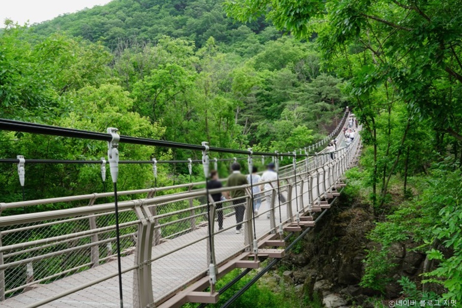 연천 재인폭포 출렁다리 이미지 4