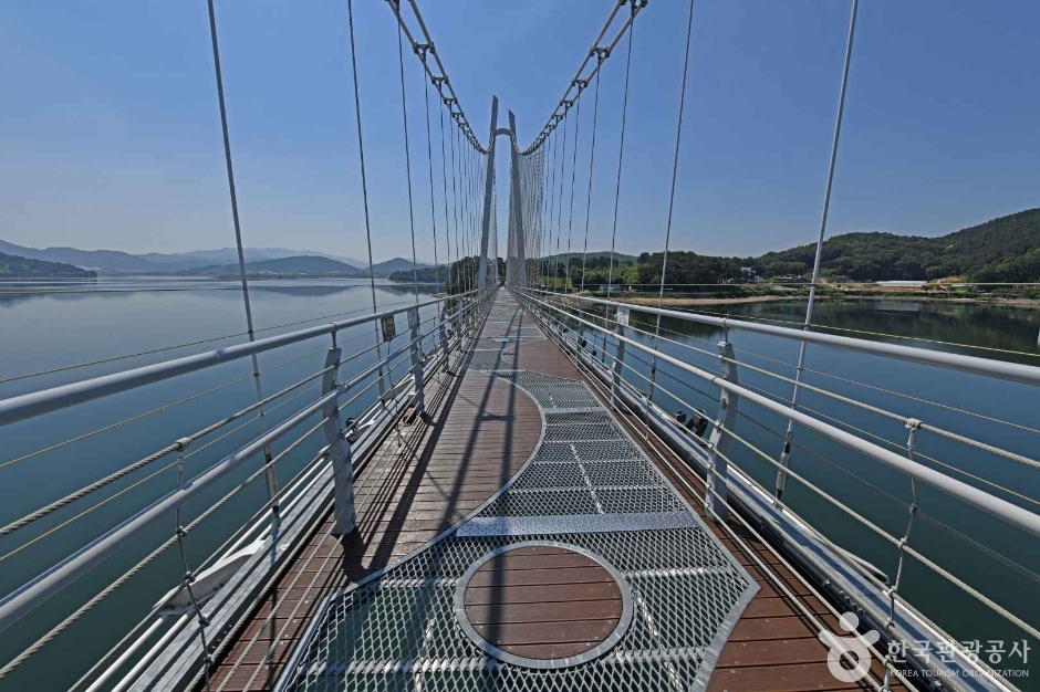 논산 탑정호 출렁다리 이미지 2