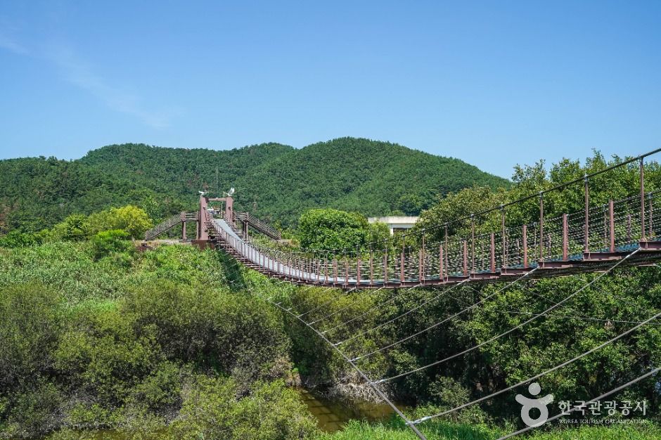 우포 출렁다리 이미지 5