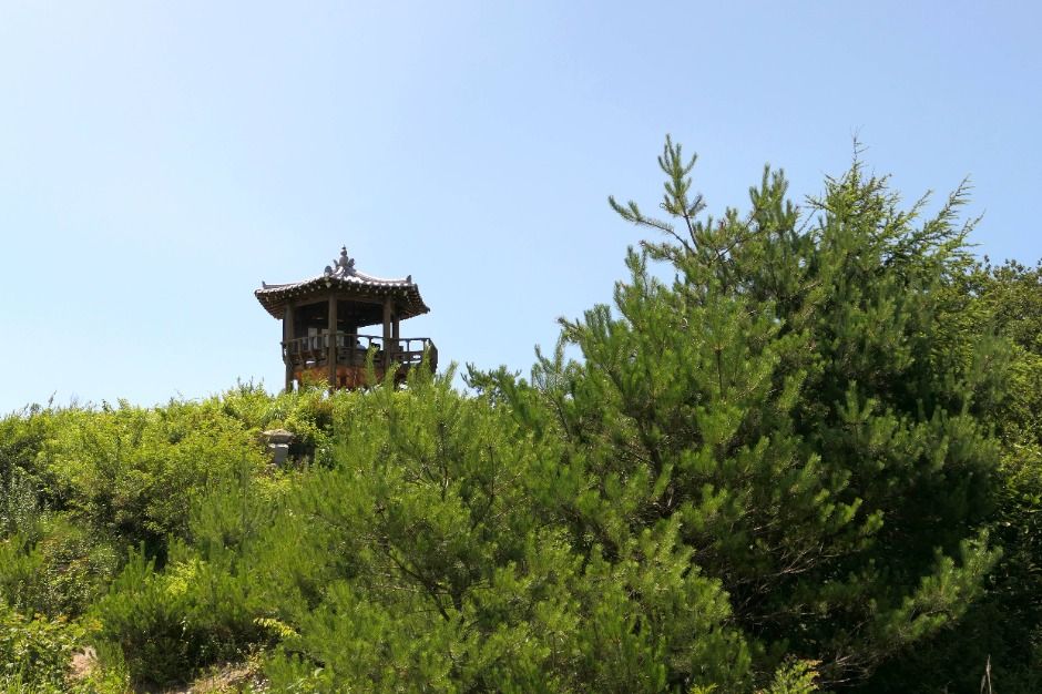 팔공산 하늘정원 이미지 5