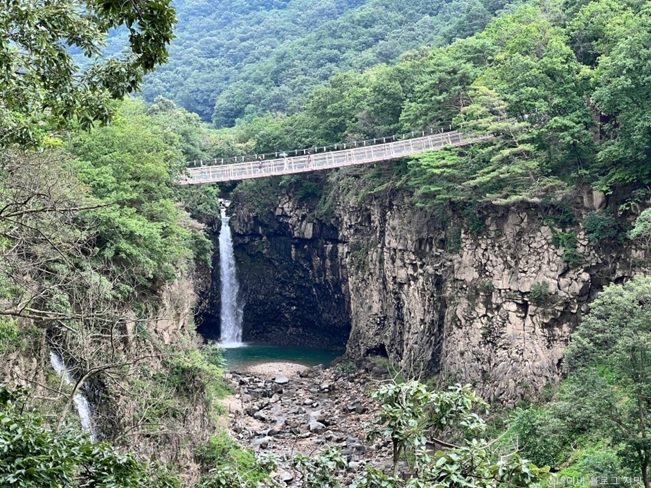 연천 재인폭포 출렁다리 이미지 2