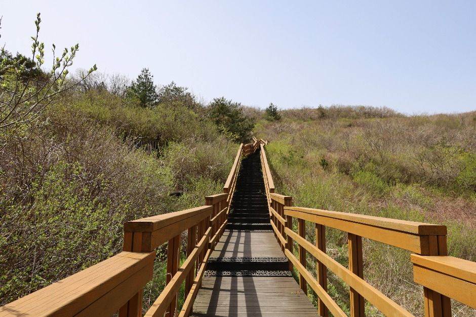 팔공산 하늘정원 이미지 2