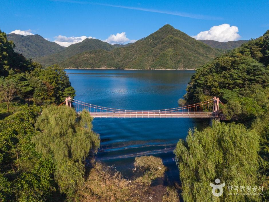 충주호 종댕이길 출렁다리 이미지 4