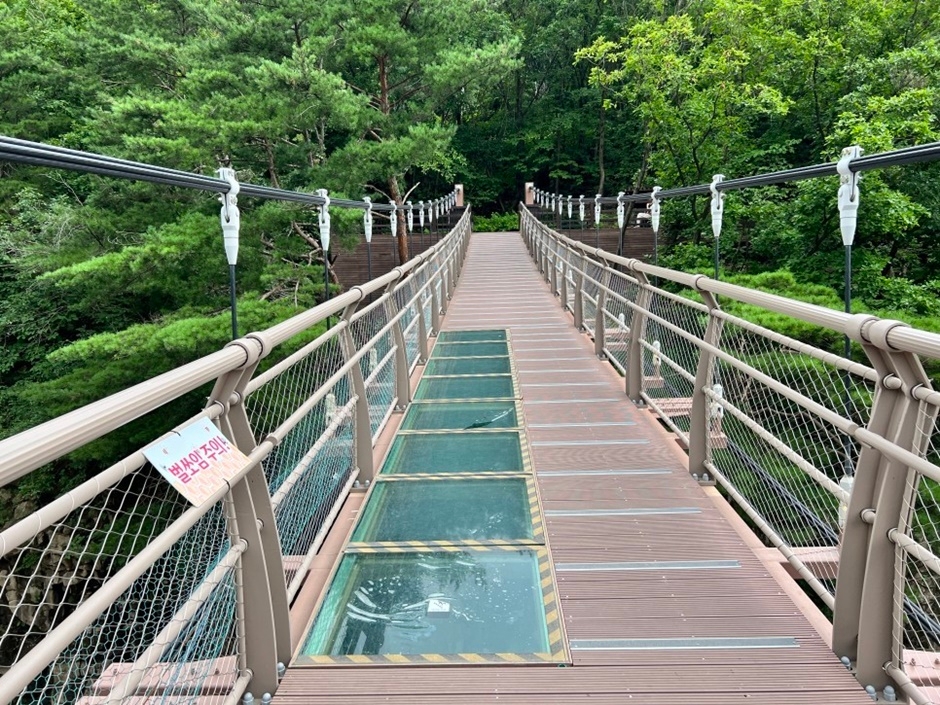 연천 재인폭포 출렁다리 이미지 3