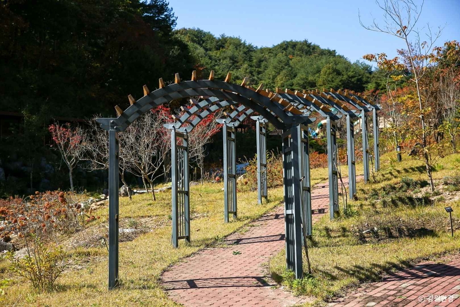 송이밸리자연휴양림 이미지 7