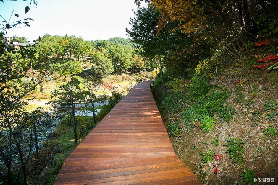 송이밸리자연휴양림 이미지 6