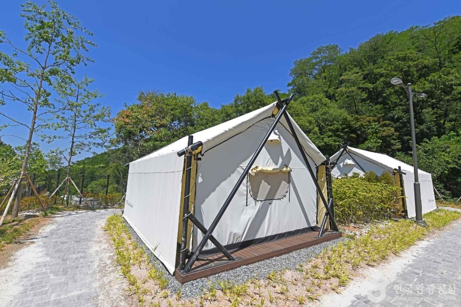 천안 태학산 자연휴양림 이미지 4