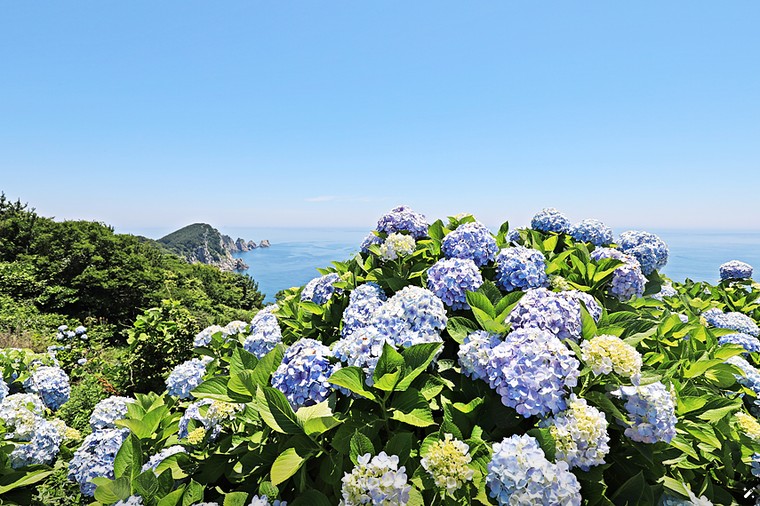 통영 연화사 이미지 4