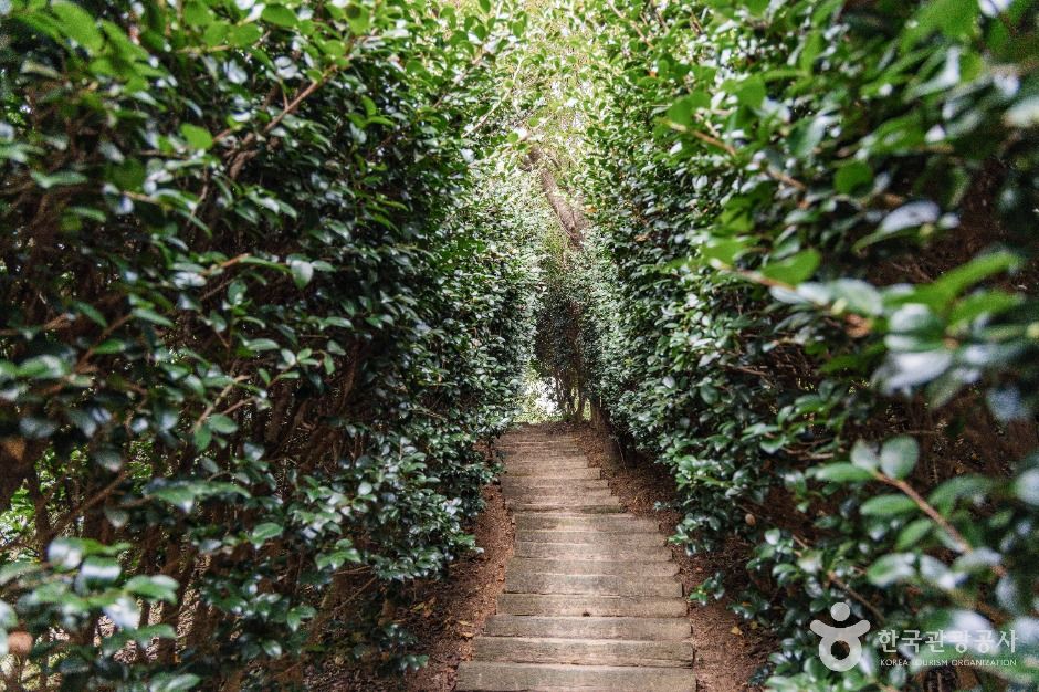 익산 달빛소리 수목원 이미지 11