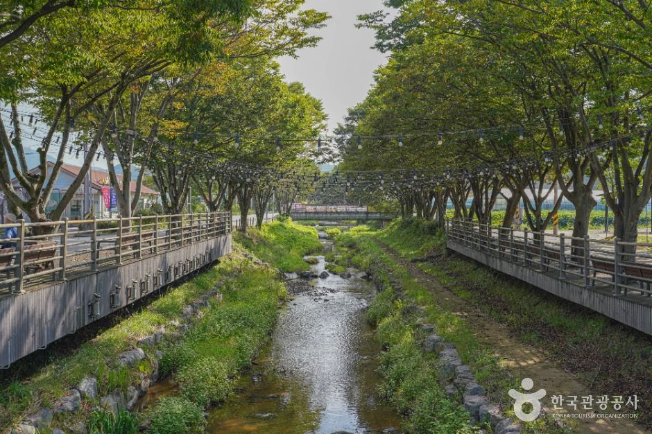 임실 치즈마을 이미지 4