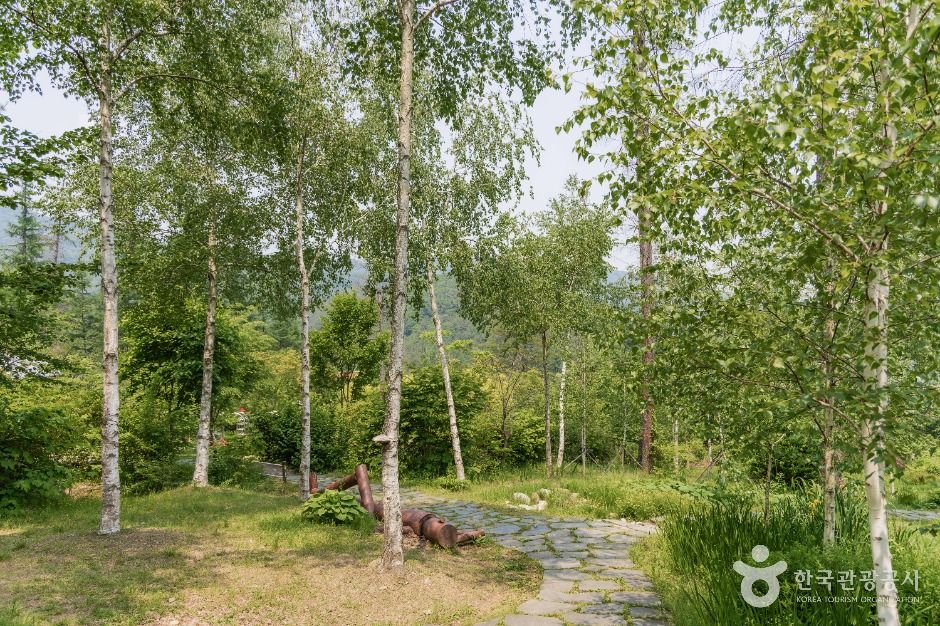 남양주 물맑음수목원 이미지 3