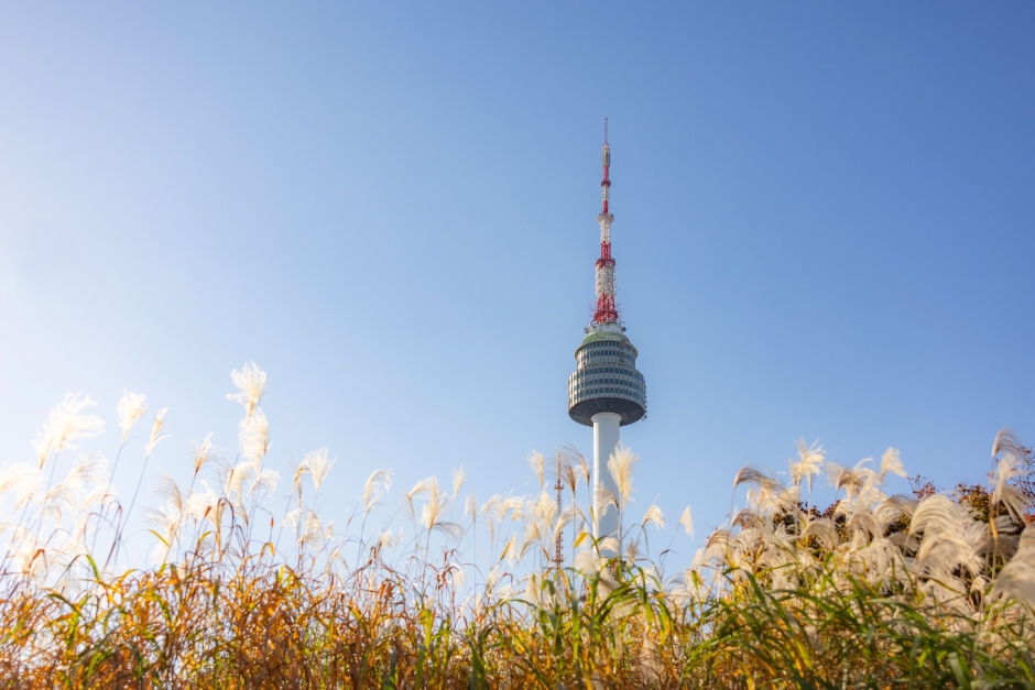 남산서울타워 이미지 2