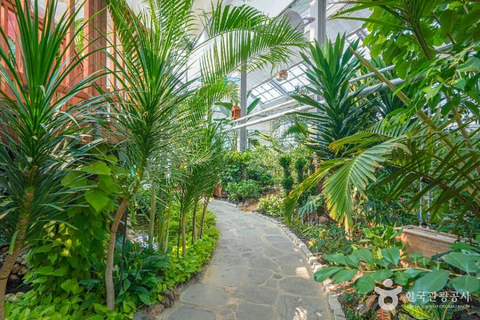 의령 아열대식물원 이미지 3
