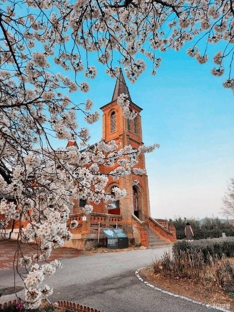 칠곡 가실성당 이미지 6