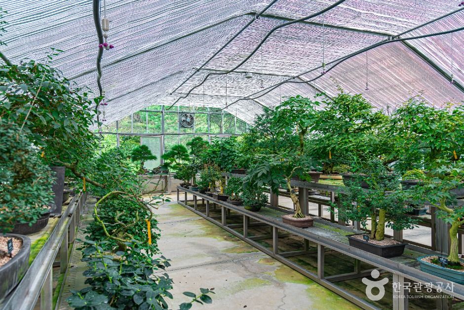 완주 대아수목원 이미지 9