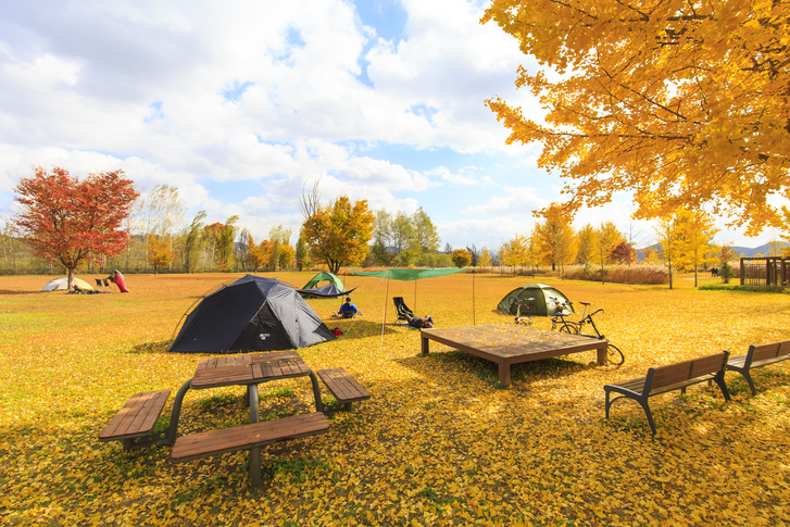 강천섬 유원지 이미지 4