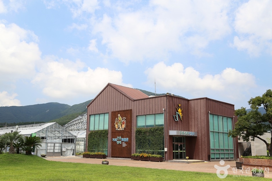 거제 곤충생태박물관 이미지 1