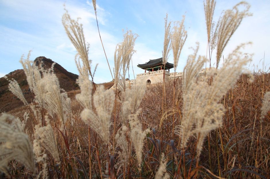 산청 황매산 이미지 7