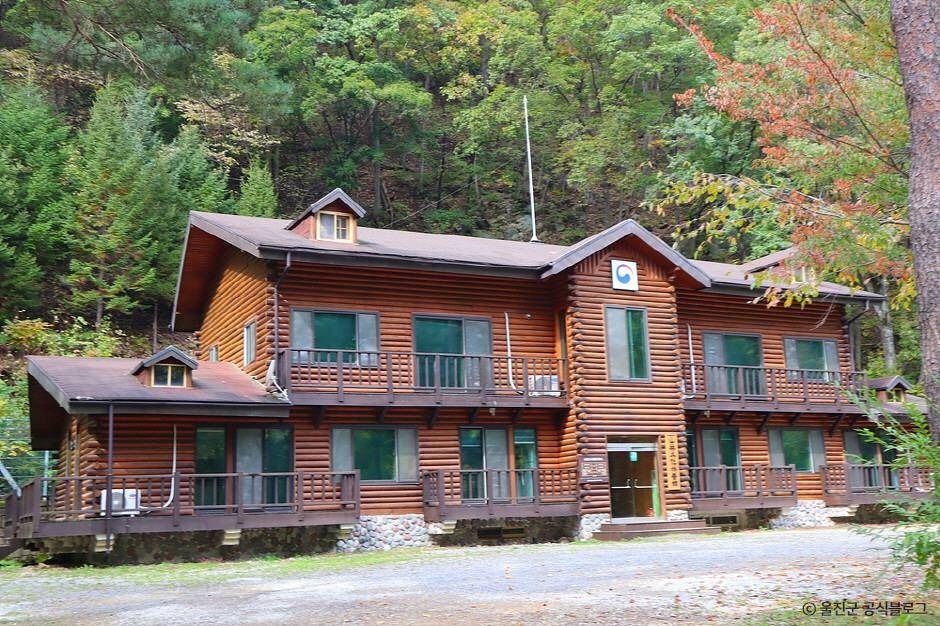 울진 통고산자연휴양림 이미지 5