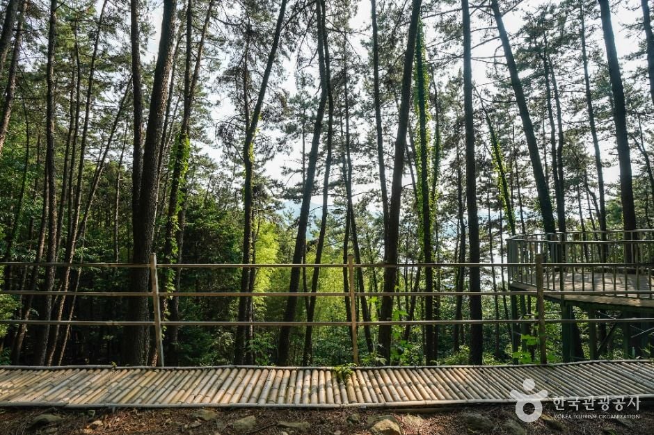 거제 맹종죽테마파크 이미지 7