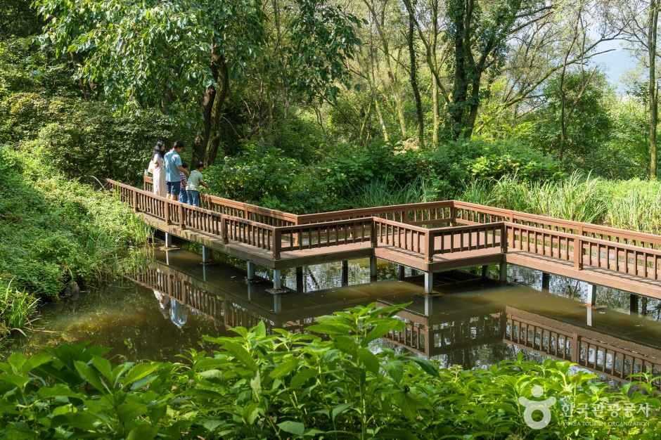 용인 자연휴양림 이미지 6