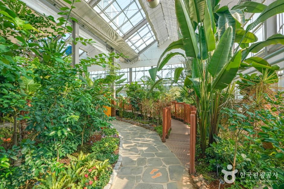 의령 아열대식물원 이미지 4