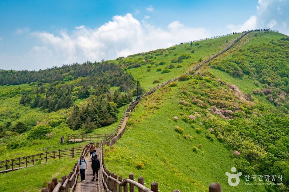 단양 소백산국립공원 이미지 6